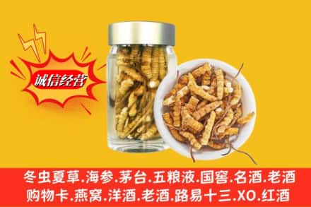 清徐县回收散虫草