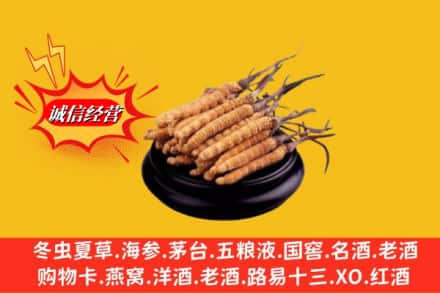 清徐县求购回收虫草多少钱每克